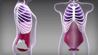 Video o technikách na minimalizáciu rizika parastomálnej hernie riadením intraabdominálneho tlaku.